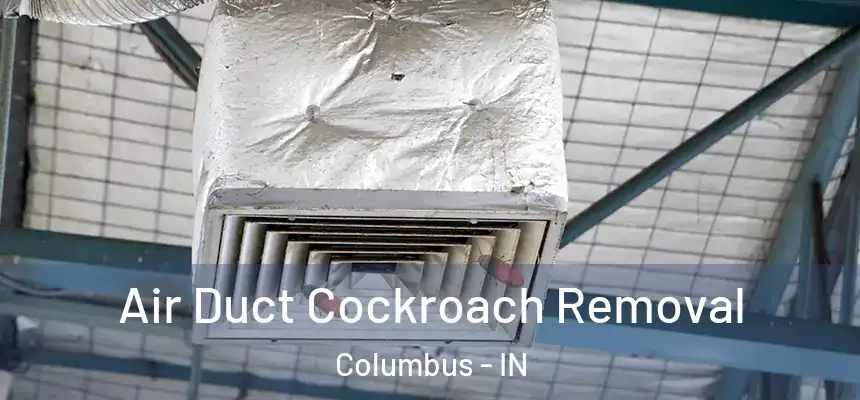  Air Duct Cockroach Removal Columbus - IN