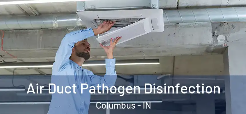 Air Duct Pathogen Disinfection Columbus - IN