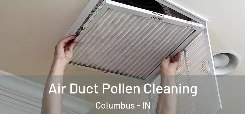  Air Duct Pollen Cleaning Columbus - IN