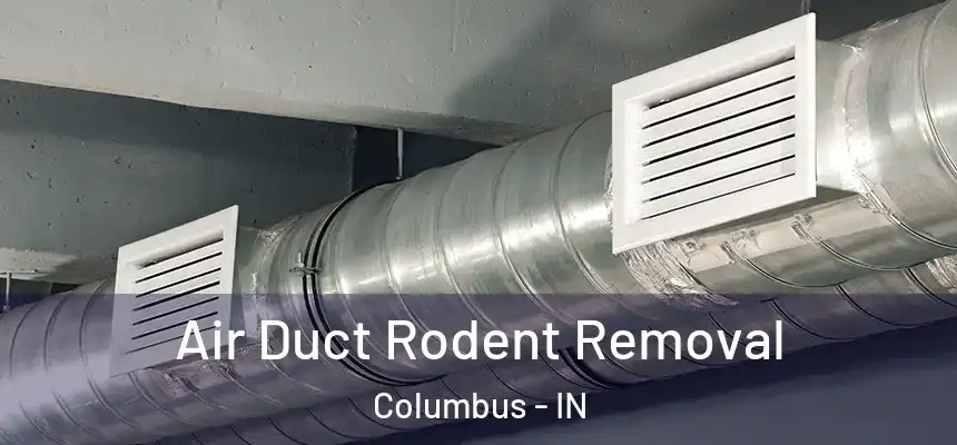 Air Duct Rodent Removal Columbus - IN