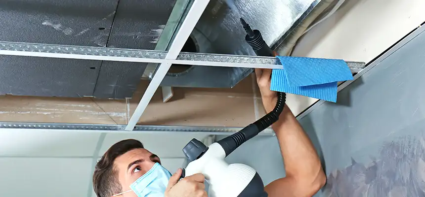 Our Air Duct Rodent Removal Services in Columbus, IN
