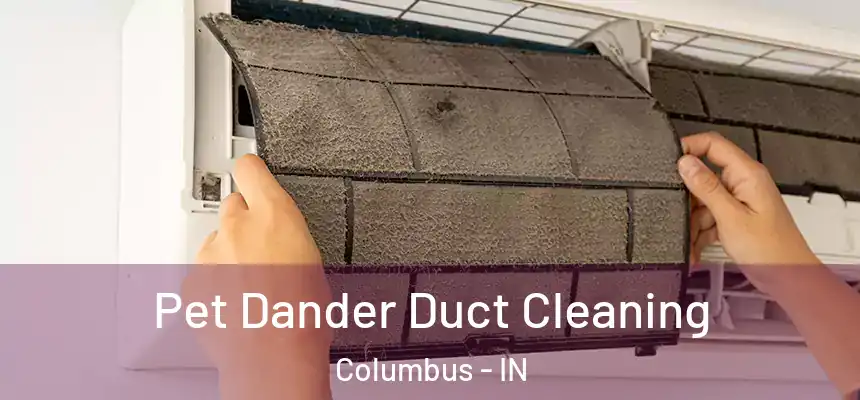 Pet Dander Duct Cleaning Columbus - IN
