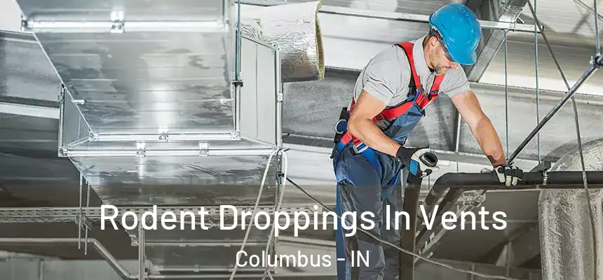 Rodent Droppings In Vents Columbus - IN