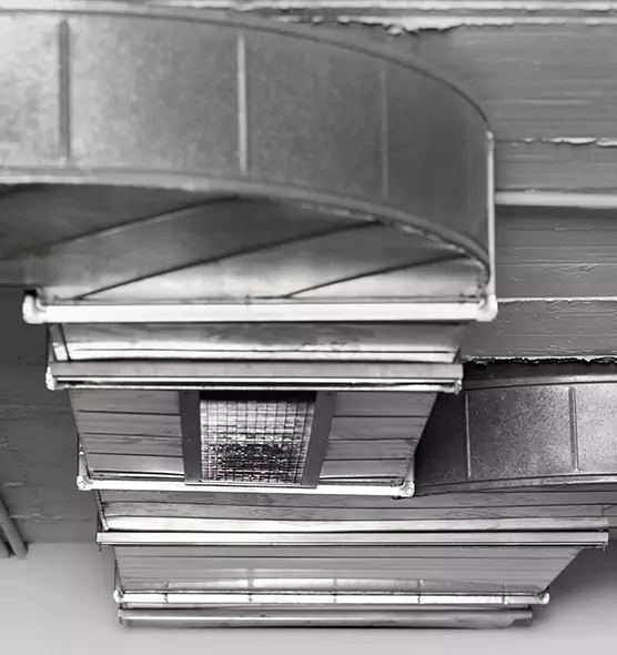 Professional Air Duct Pest Removal in Columbus, IN