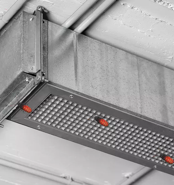Affordable Insect Removal from Air Ducts in Columbus, IN