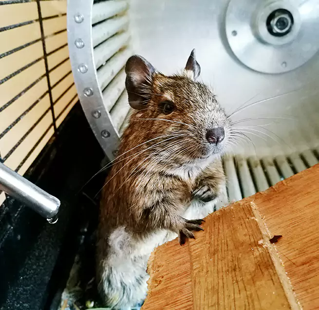 Why Homeowners & Businesses Trust Us Columbus, IN