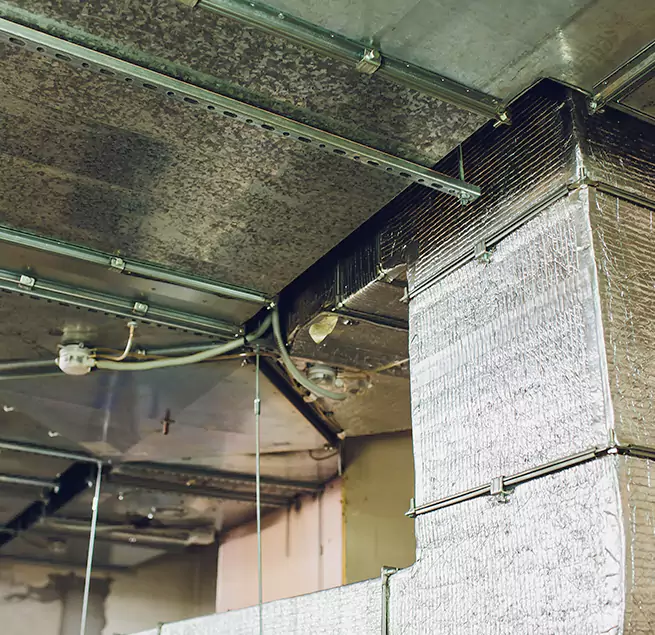 Why Homeowners & Businesses Trust Us in Columbus, IN?